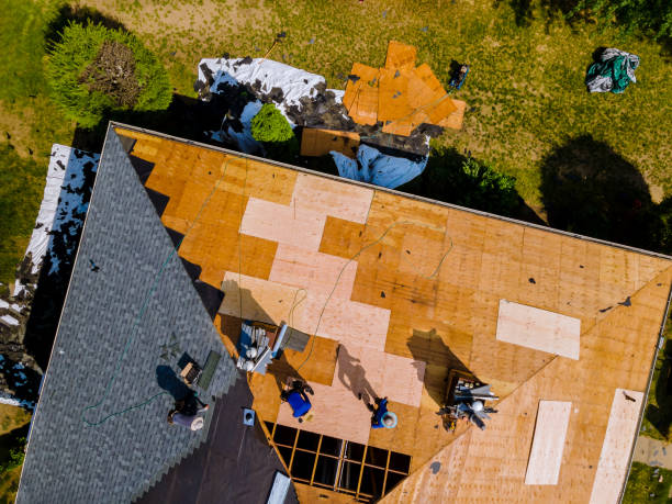 Best Roof Repair Specialists  in Hollymead, VA