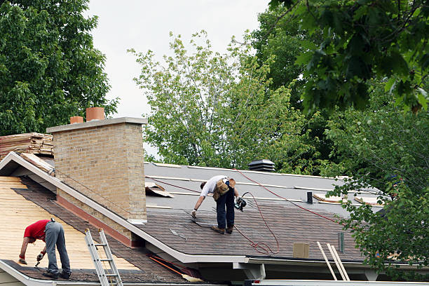 Best Metal Roofing Contractor  in Hollymead, VA