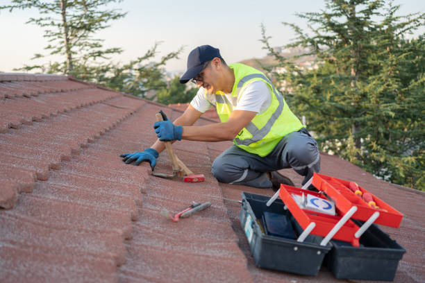 Residential Roof Replacement in Hollymead, VA