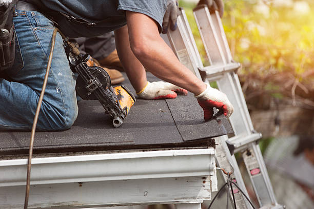 Best Residential Roofing Contractor  in Hollymead, VA