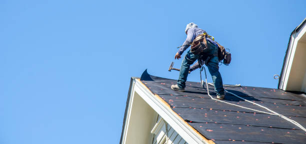 Best Storm Damage Roof Repair  in Hollymead, VA